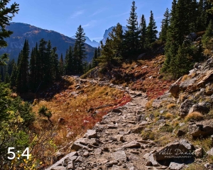 Rocky Mountain National Park 711166