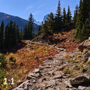 Rocky Mountain National Park 711166