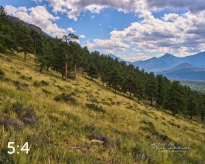 Rocky Mountain National Park 719920