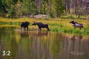 Rocky Mountain National Park 720087