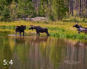 Rocky Mountain National Park 720087