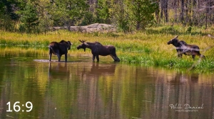 Rocky Mountain National Park 720087