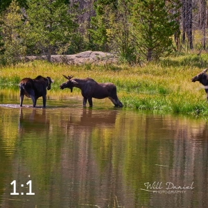 Rocky Mountain National Park 720087