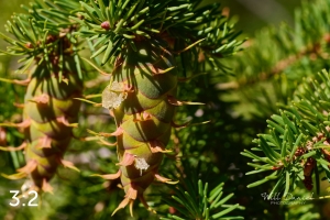 Rocky Mountain National Park 720186