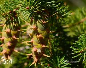 Rocky Mountain National Park 720186