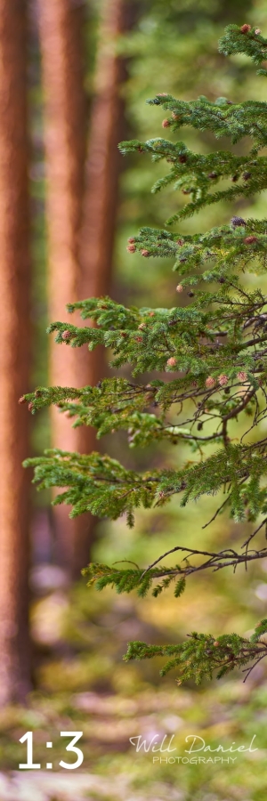 Rocky Mountain National Park 720776