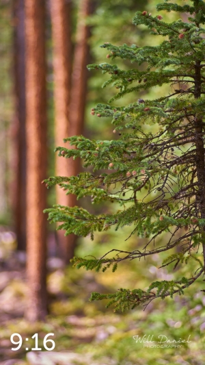 Rocky Mountain National Park 720776