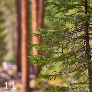 Rocky Mountain National Park 720776