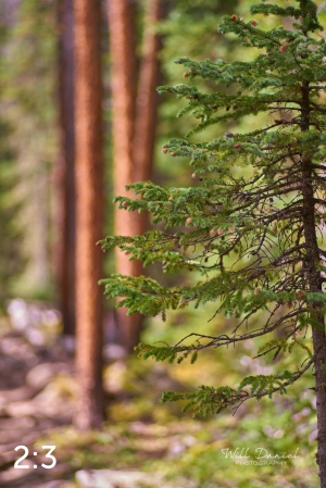 Rocky Mountain National Park 720776