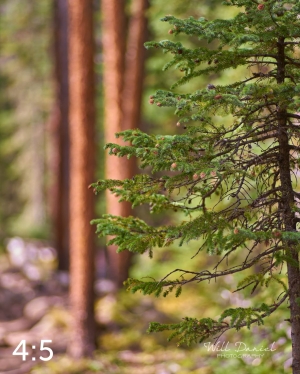 Rocky Mountain National Park 720776