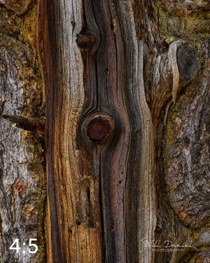 Rocky Mountain National Park 720949