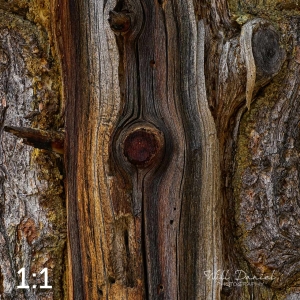 Rocky Mountain National Park 720949