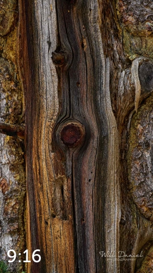 Rocky Mountain National Park 720949