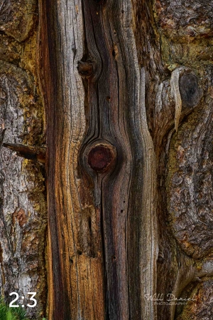 Rocky Mountain National Park 720949