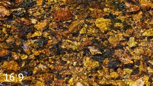 Rocky Mountain National Park 720963