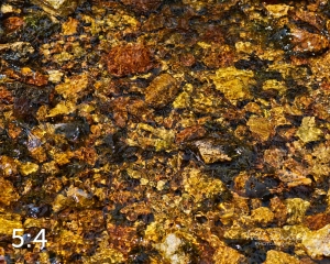 Rocky Mountain National Park 720963