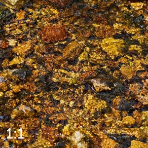 Rocky Mountain National Park 720963