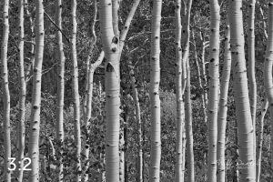 Rocky Mountain National Park 721124BW