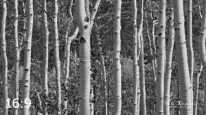 Rocky Mountain National Park 721124BW