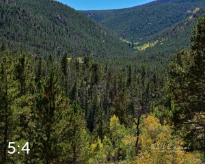 Rocky Mountain National Park 722625