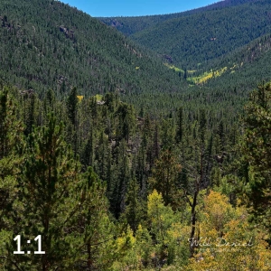 Rocky Mountain National Park 722625