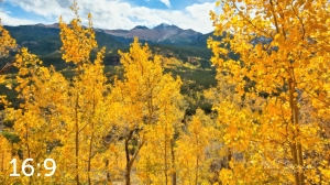 Rocky Mountain National Park 59808-O4