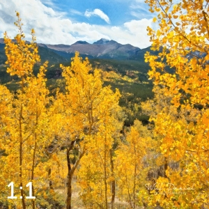 Rocky Mountain National Park 59808-O4