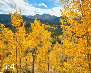 Rocky Mountain National Park 59808-O4