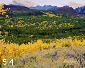 Rocky Mountain National Park 59976 terrace