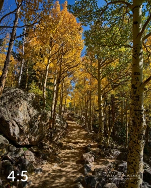 Rocky Mountain National Park 722742