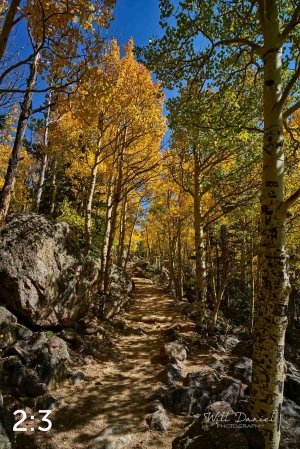 Rocky Mountain National Park 722742