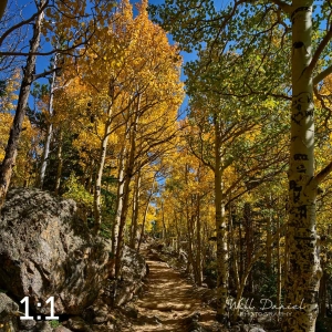 Rocky Mountain National Park 722742