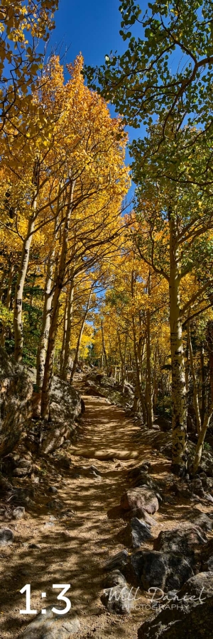 Rocky Mountain National Park 722742