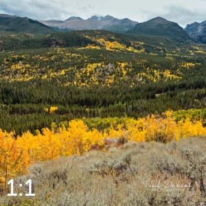 Rocky Mountain National Park 59976
