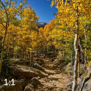Rocky Mountain National Park 722767