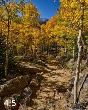 Rocky Mountain National Park 722768