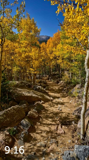 Rocky Mountain National Park 722768