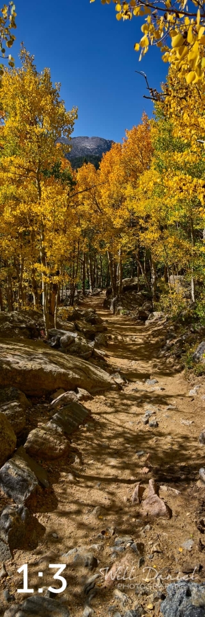 Rocky Mountain National Park 722768