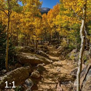 Rocky Mountain National Park 722768