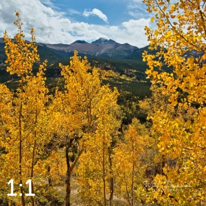 Rocky Mountain National Park 59808