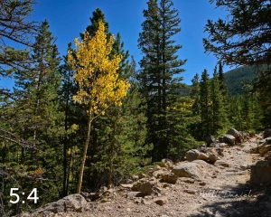 Rocky Mountain National Park 723370