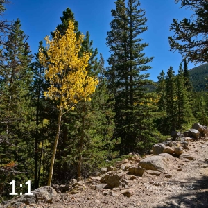 Rocky Mountain National Park 723370