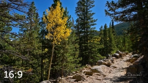 Rocky Mountain National Park 723370