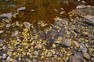 Rocky Mountain National Park 503054