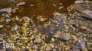Rocky Mountain National Park 503054