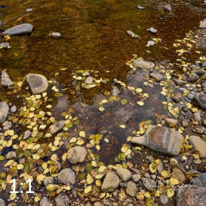 Rocky Mountain National Park 503054