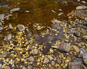 Rocky Mountain National Park 503054