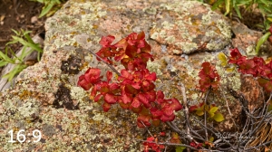 Rocky Mountain National Park 503091