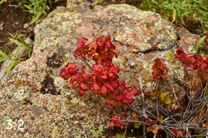 Rocky Mountain National Park 503091