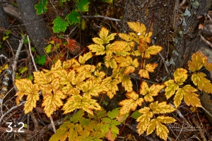 Rocky Mountain National Park 503097
